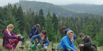 Żywiec Zdrój - Bądź po stronie natury - Planting